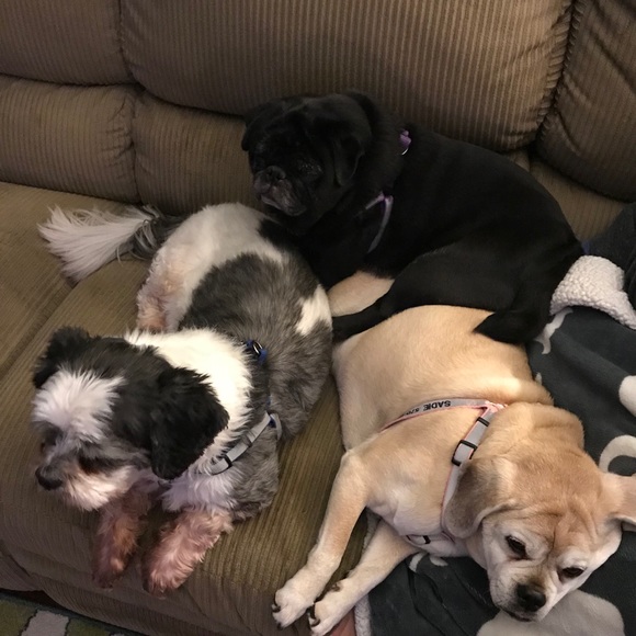 Meet your Posher, Marianne - Picture 4 of 6